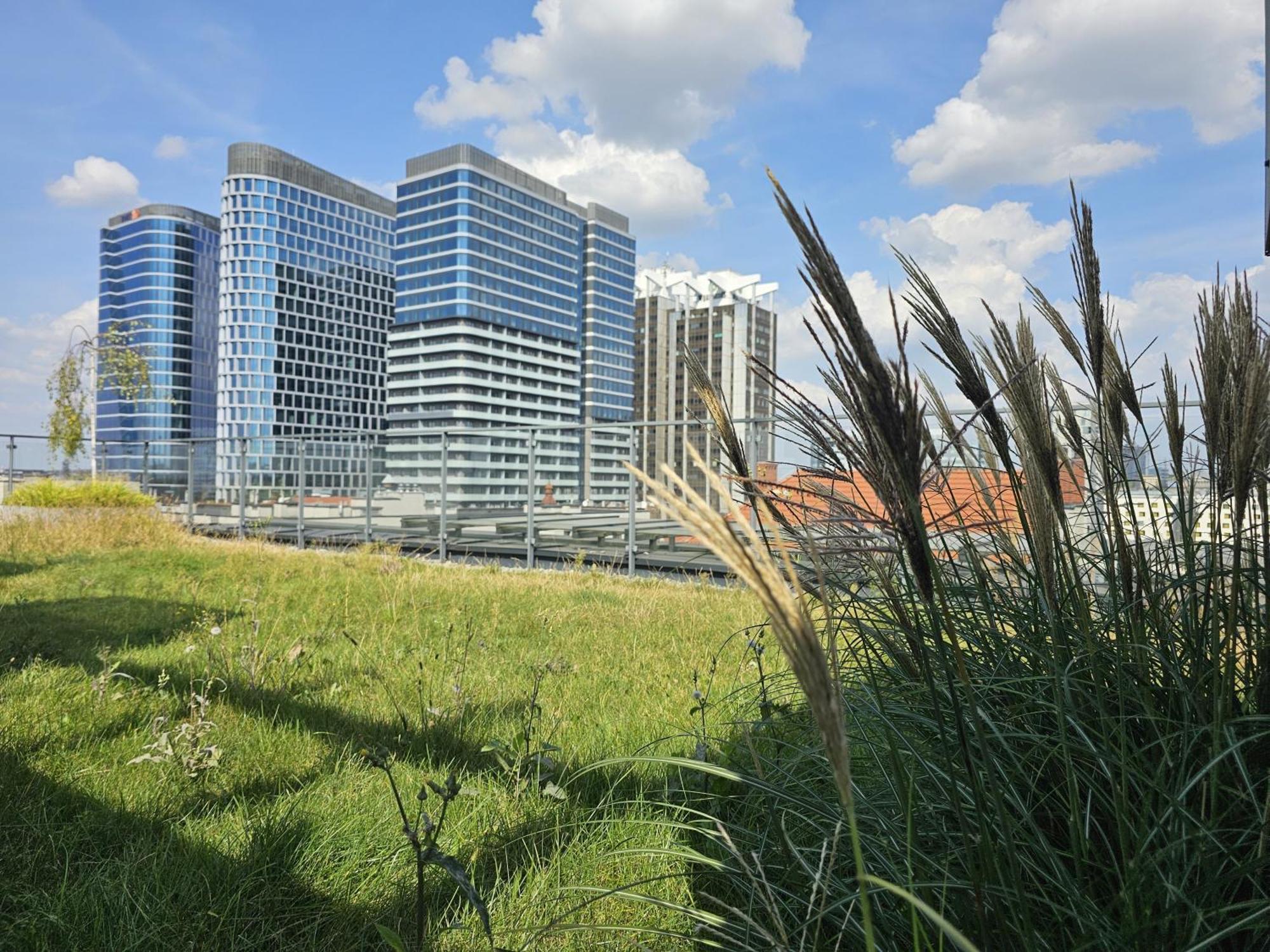 Urban Apartments Premium, Opolska 10 No 89, Free Garage, Self Check-In Katowice Exterior foto